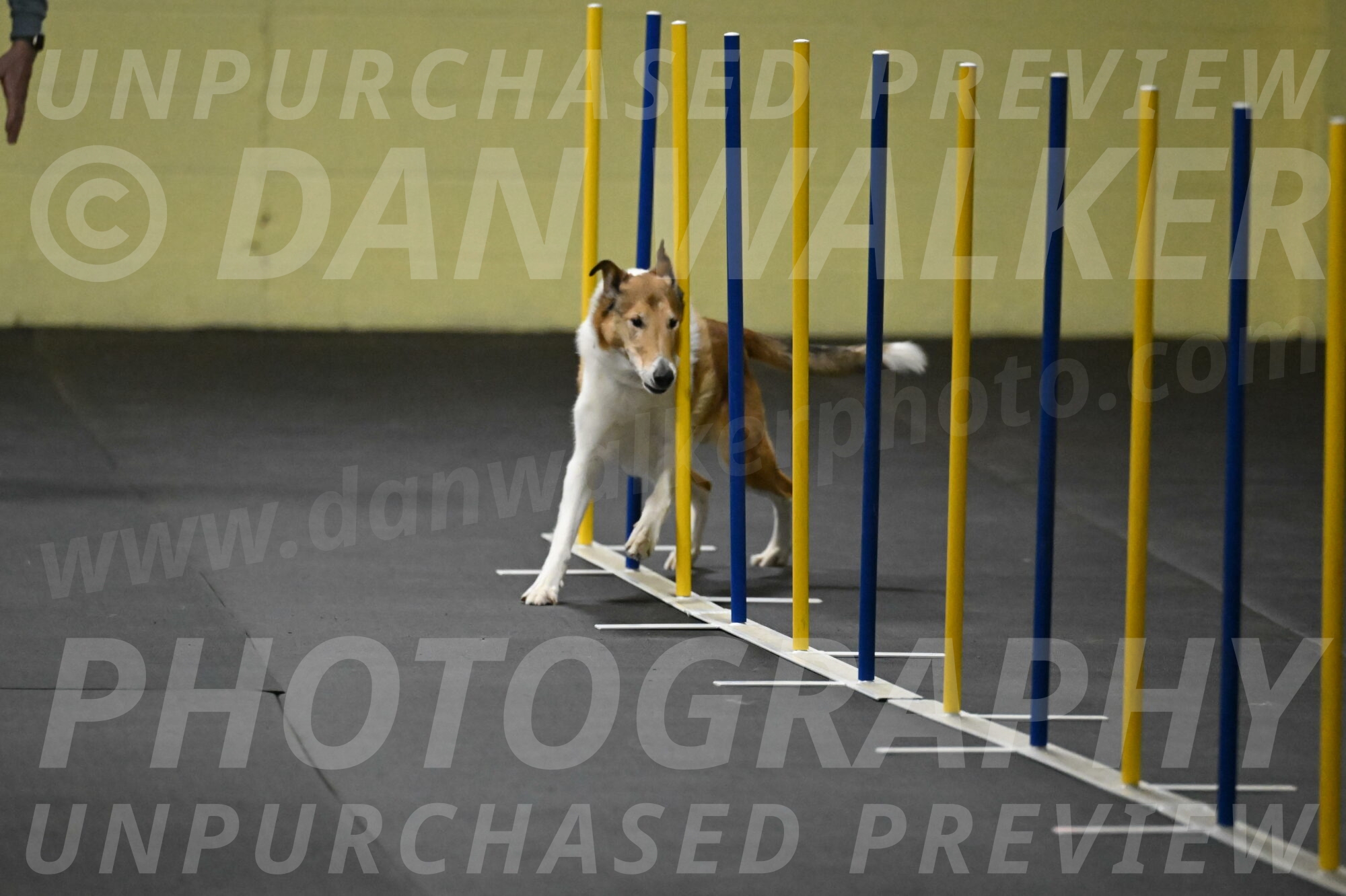 Ramble-Crawford-04140