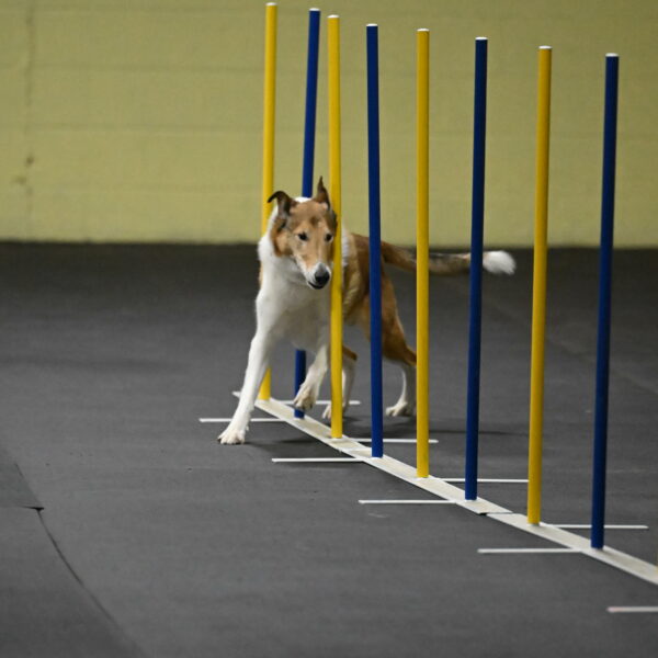 Ramble-Crawford-04140