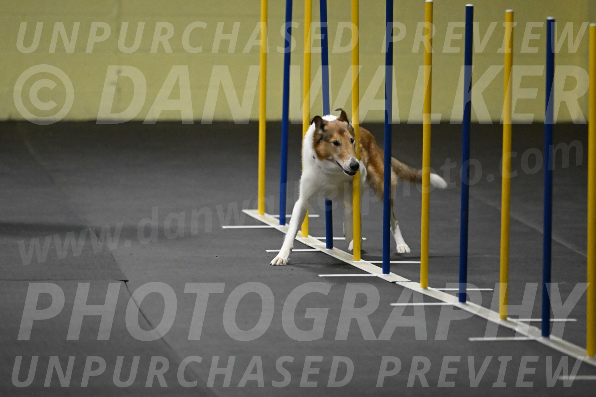 Ramble-Crawford-04146