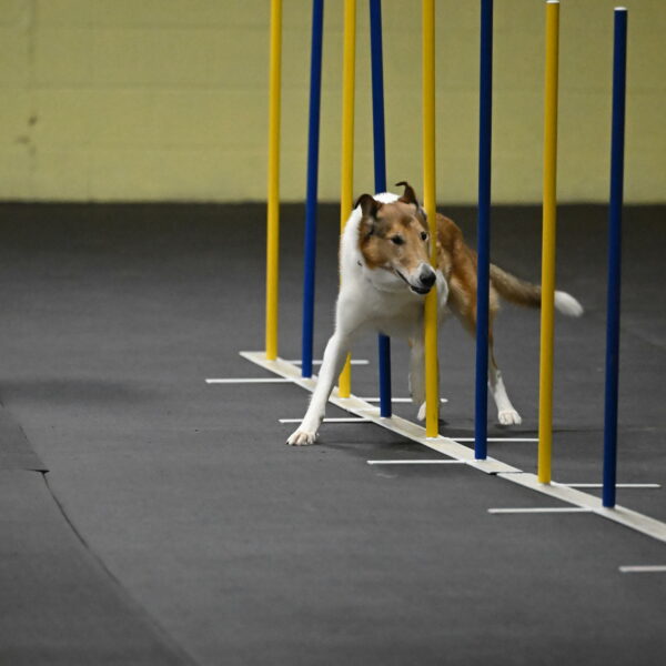 Ramble-Crawford-04146