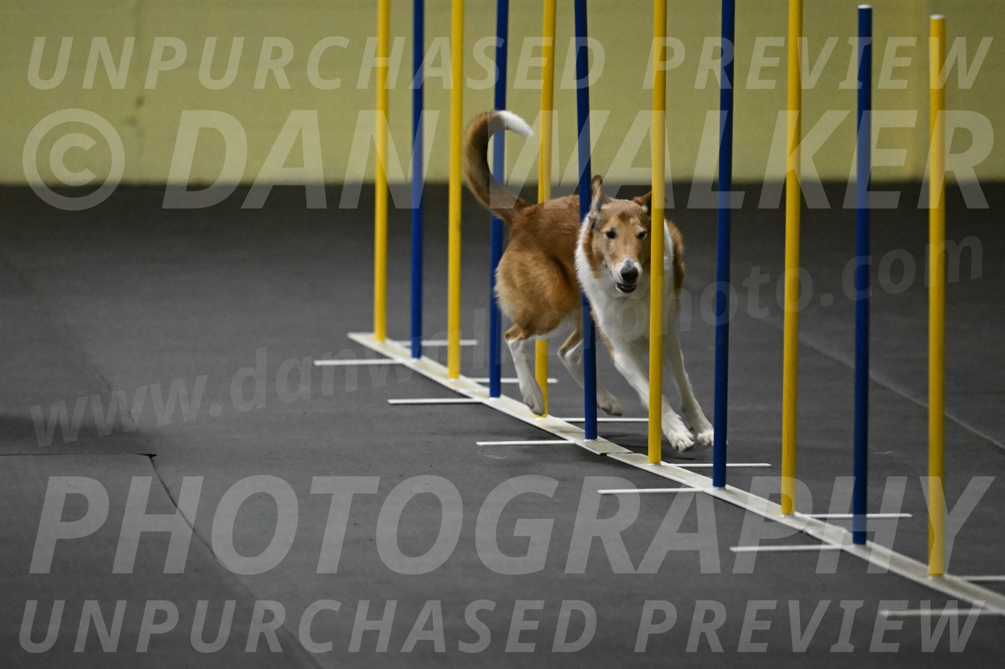 Ramble-Crawford-04150