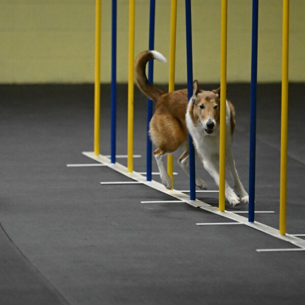 Ramble-Crawford-04150