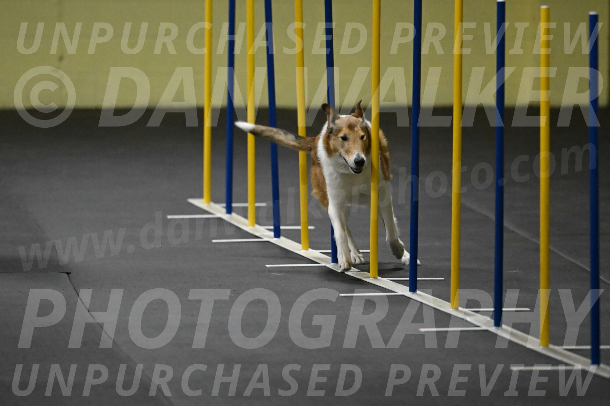 Ramble-Crawford-04151