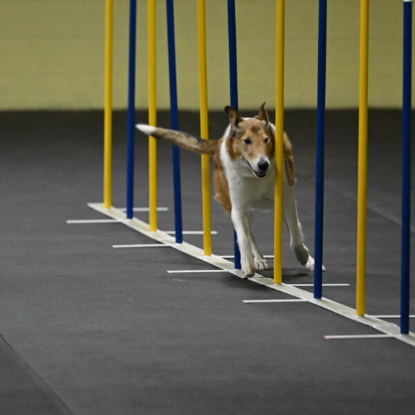 Ramble-Crawford-04151