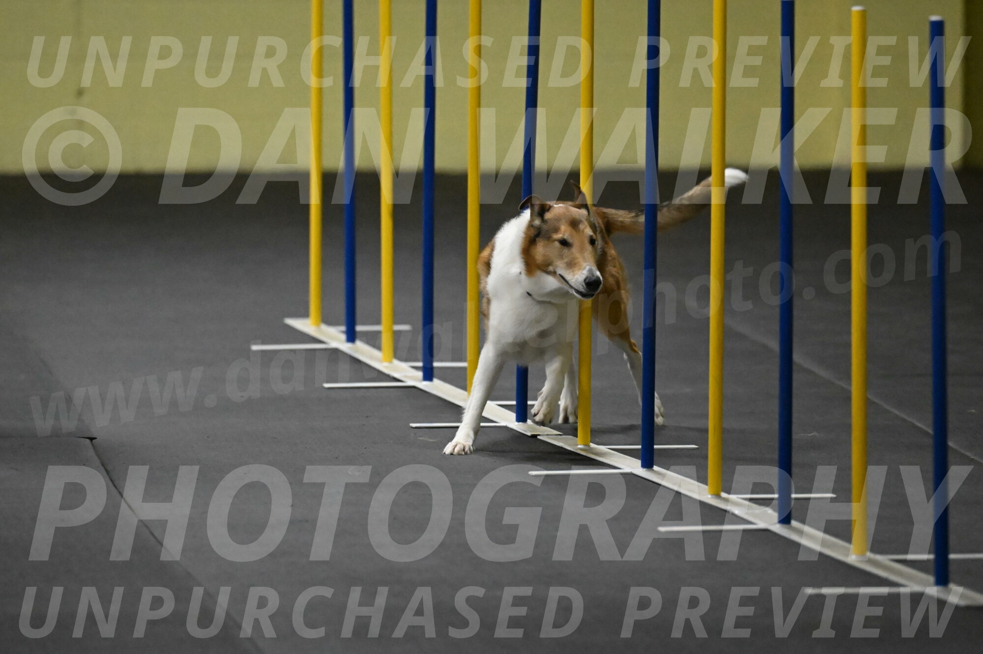 Ramble-Crawford-04152