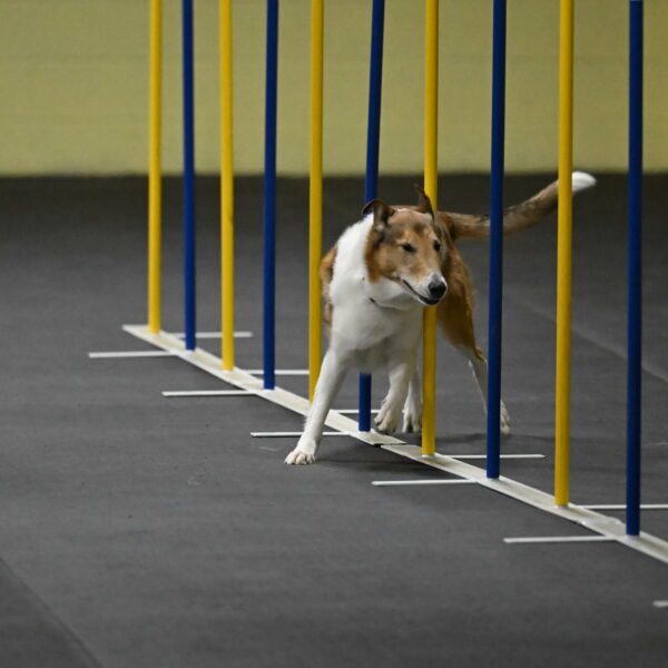 Ramble-Crawford-04152