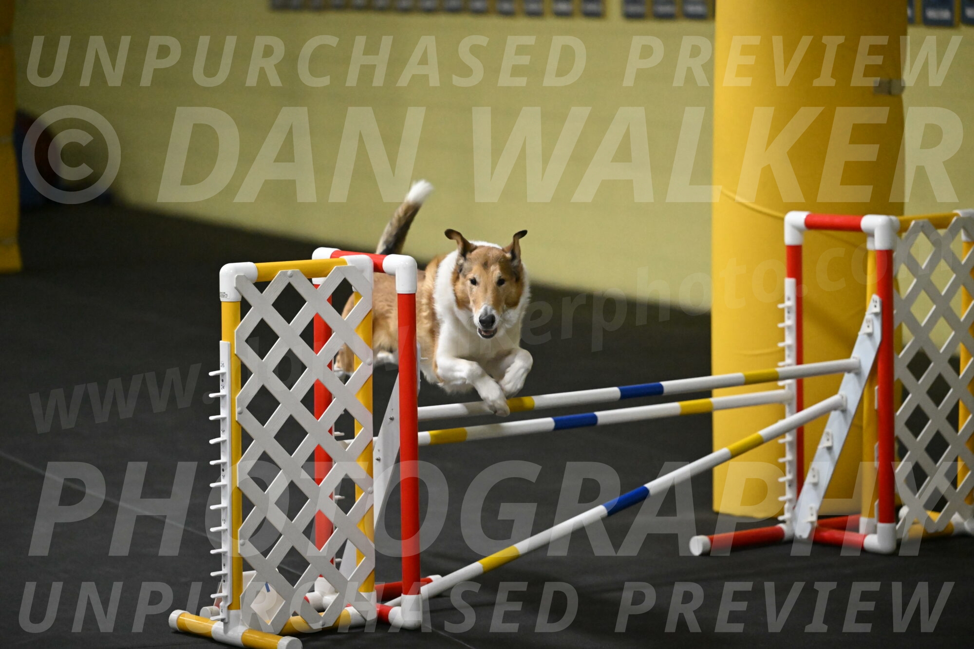 Ramble-Crawford-04170