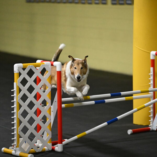 Ramble-Crawford-04170