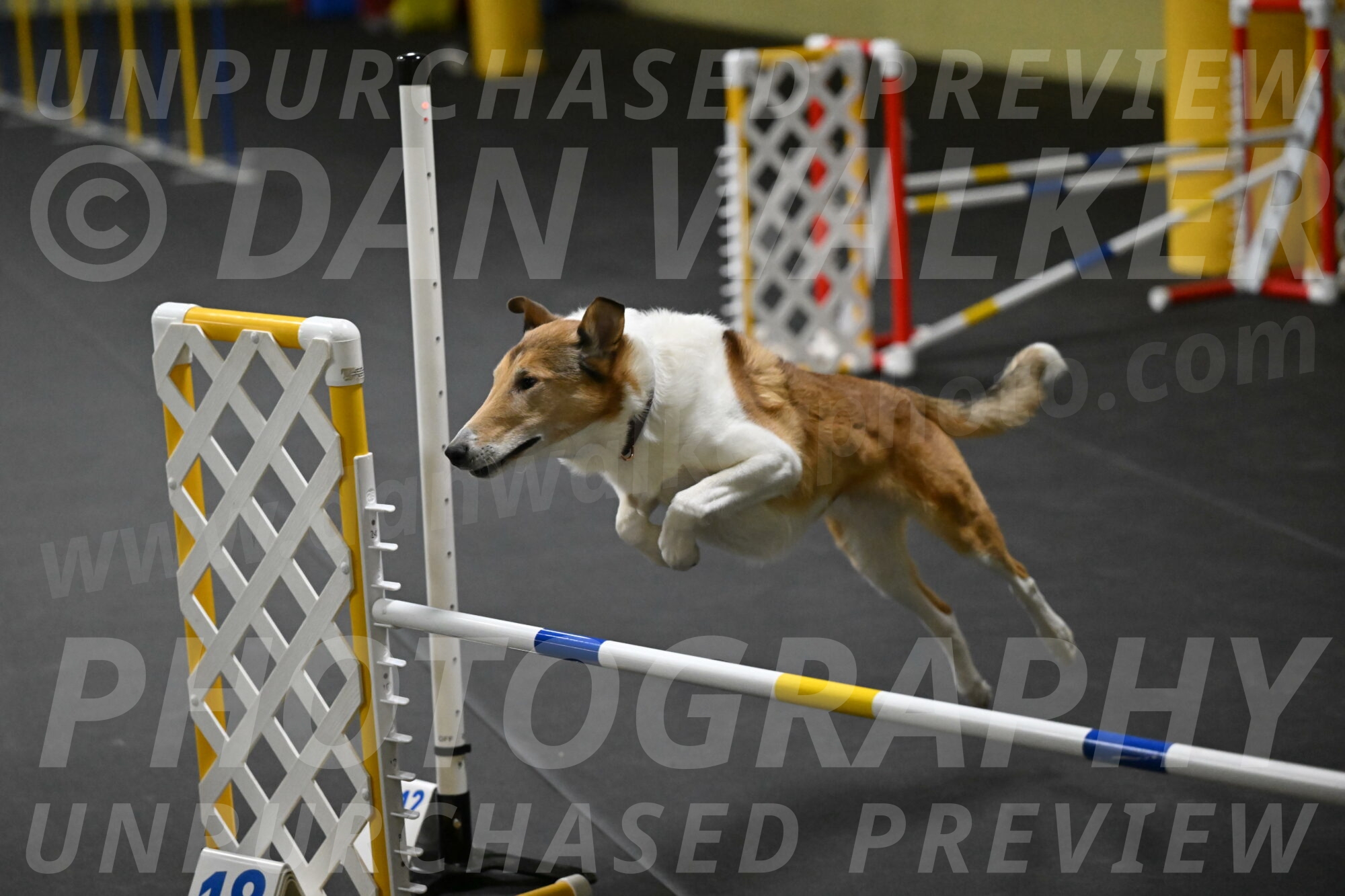 Ramble-Crawford-04181