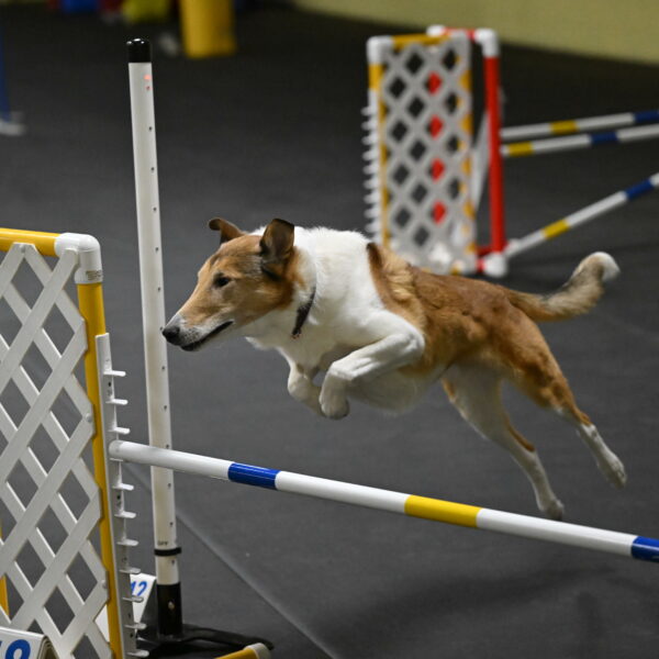 Ramble-Crawford-04181