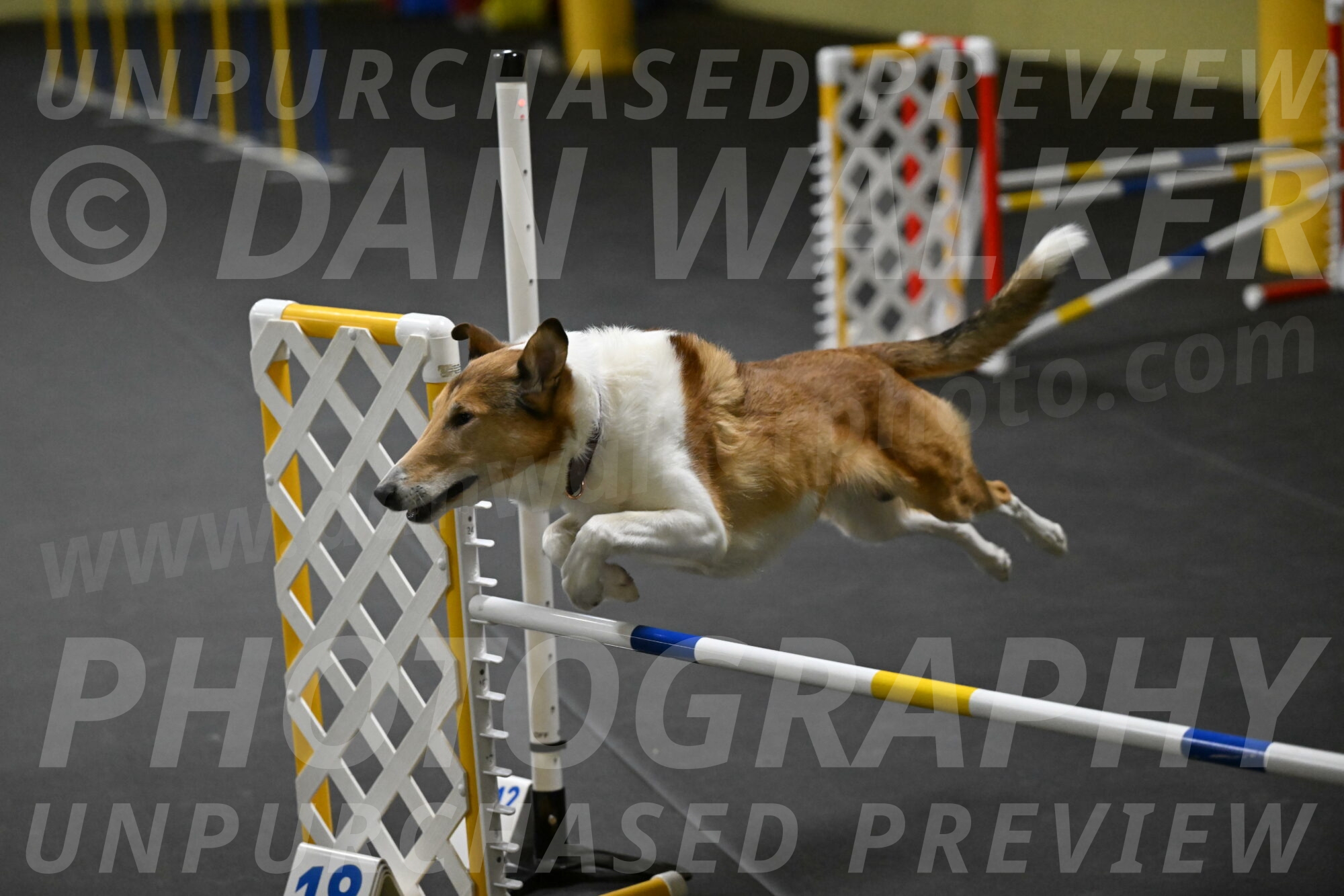 Ramble-Crawford-04182