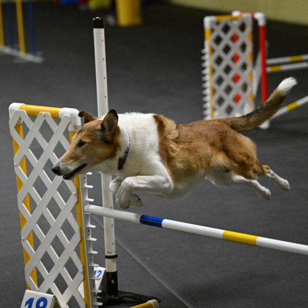 Ramble-Crawford-04182