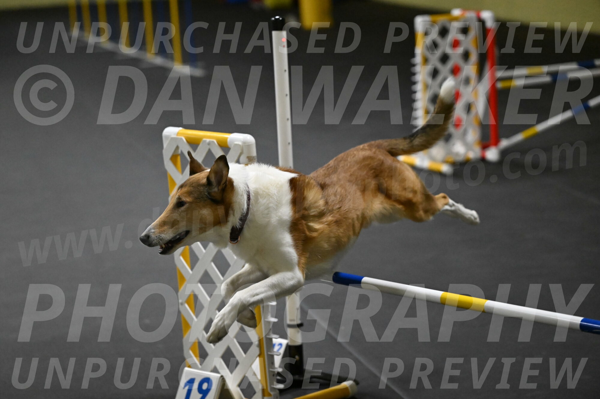 Ramble-Crawford-04183