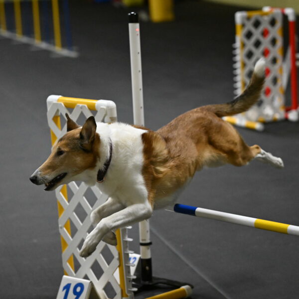 Ramble-Crawford-04183