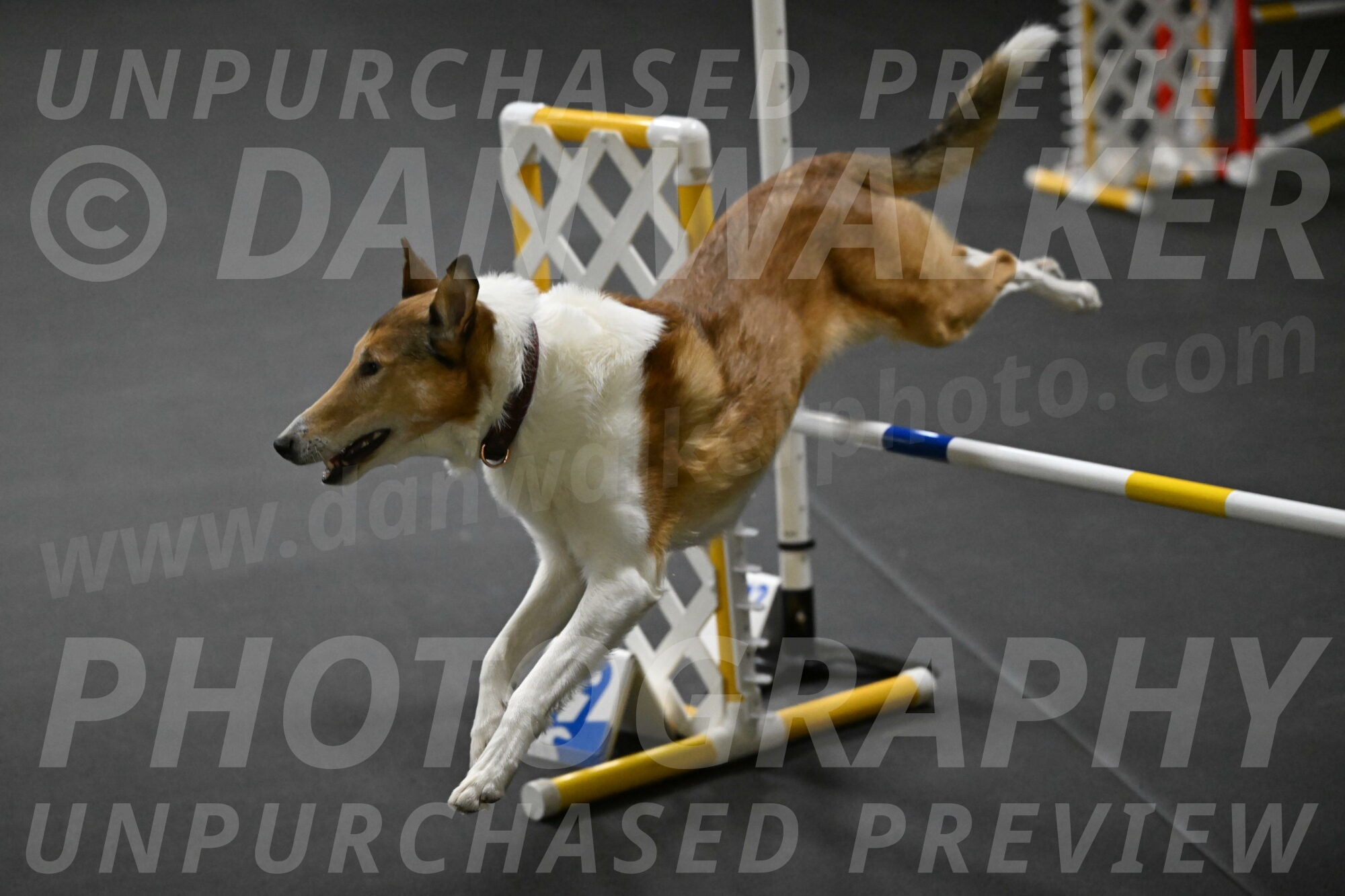 Ramble-Crawford-04184