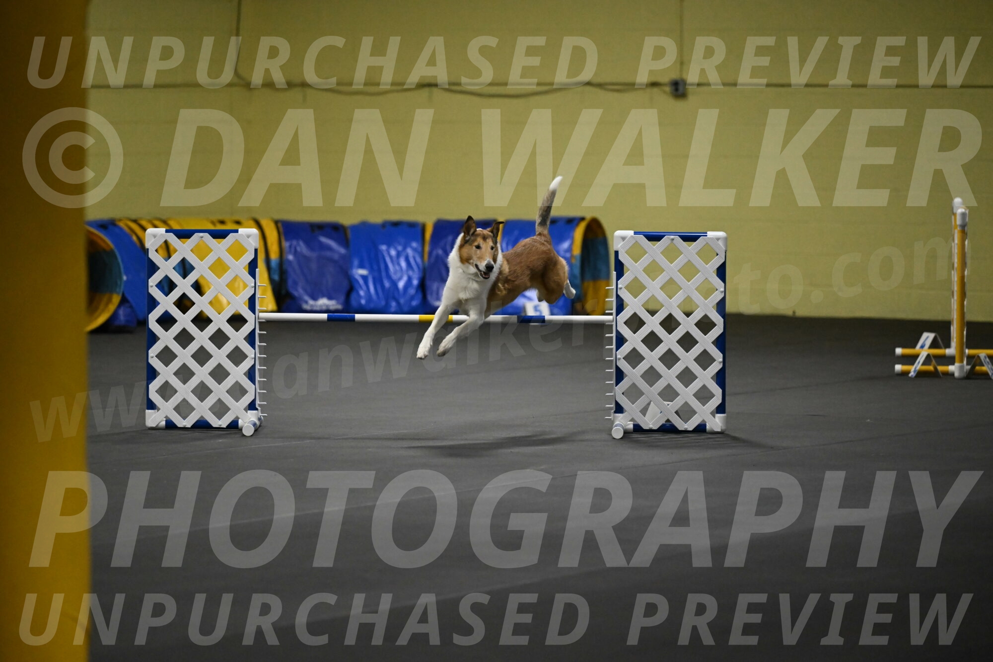 Ramble-Crawford-04189