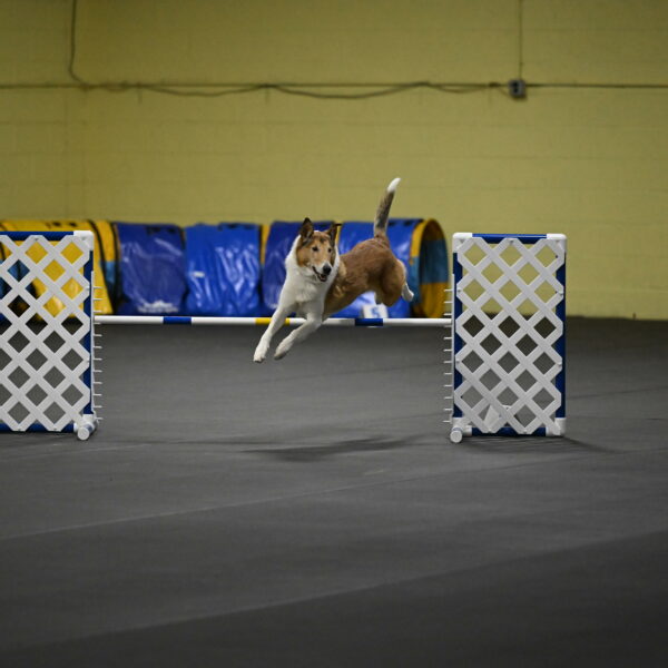 Ramble-Crawford-04189