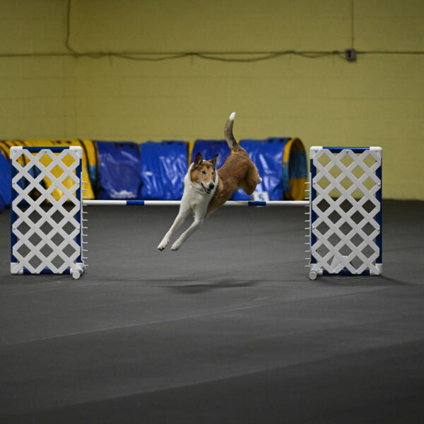 Ramble-Crawford-04190