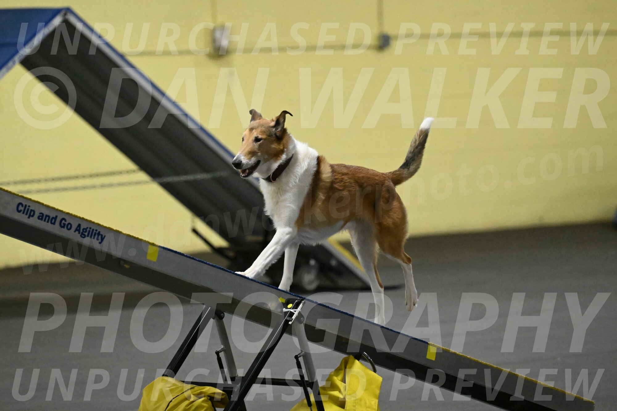 Ramble-Crawford-04192