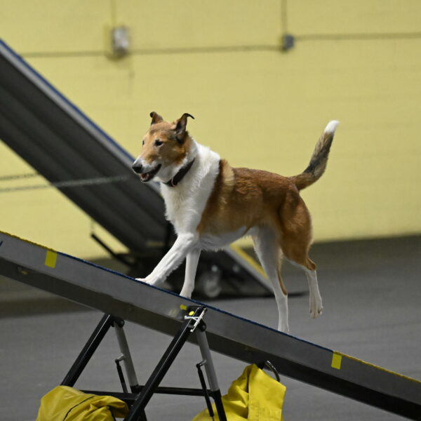 Ramble-Crawford-04192