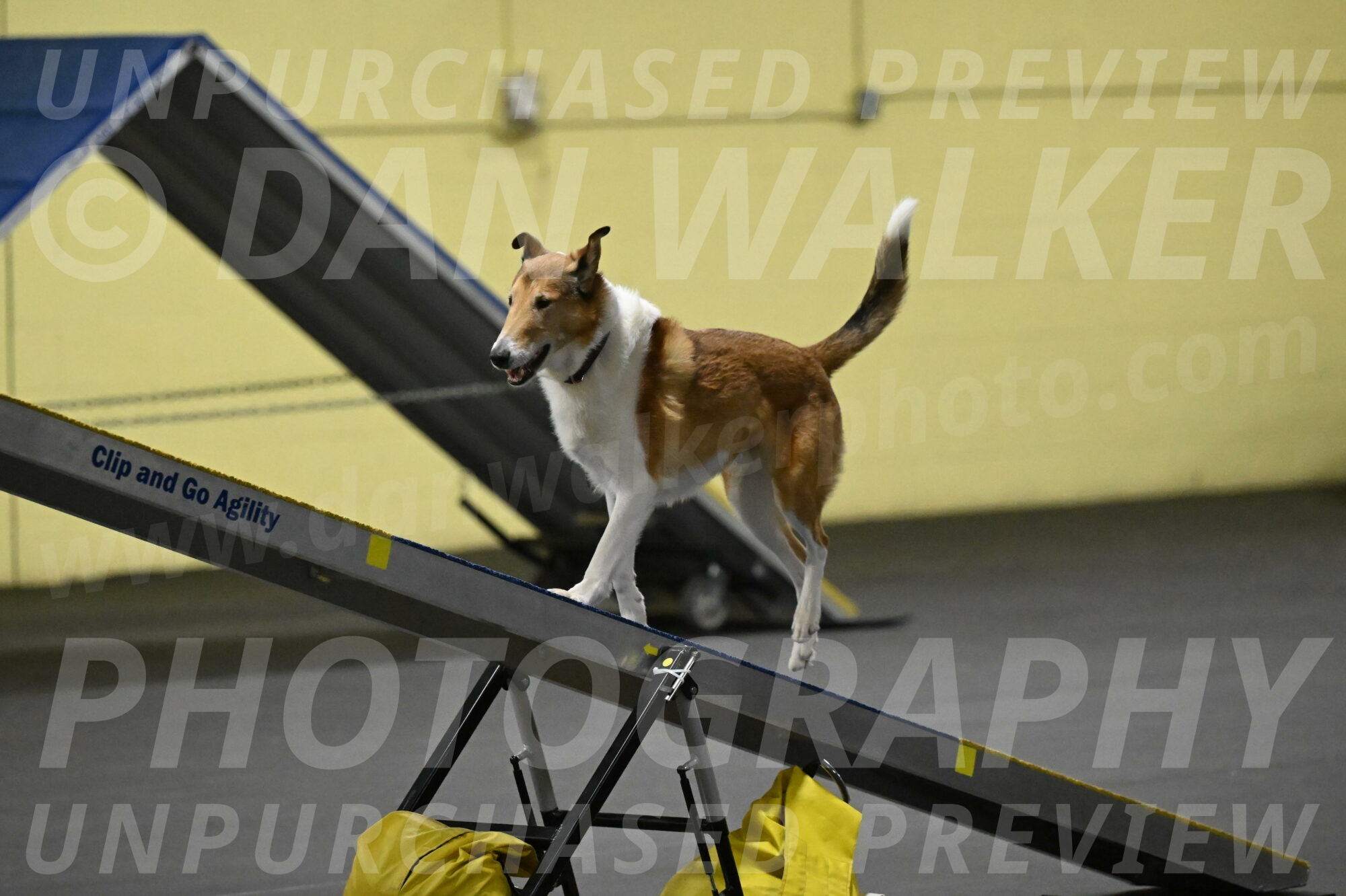 Ramble-Crawford-04193