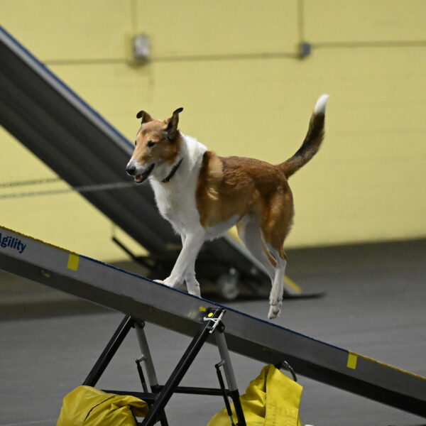 Ramble-Crawford-04193