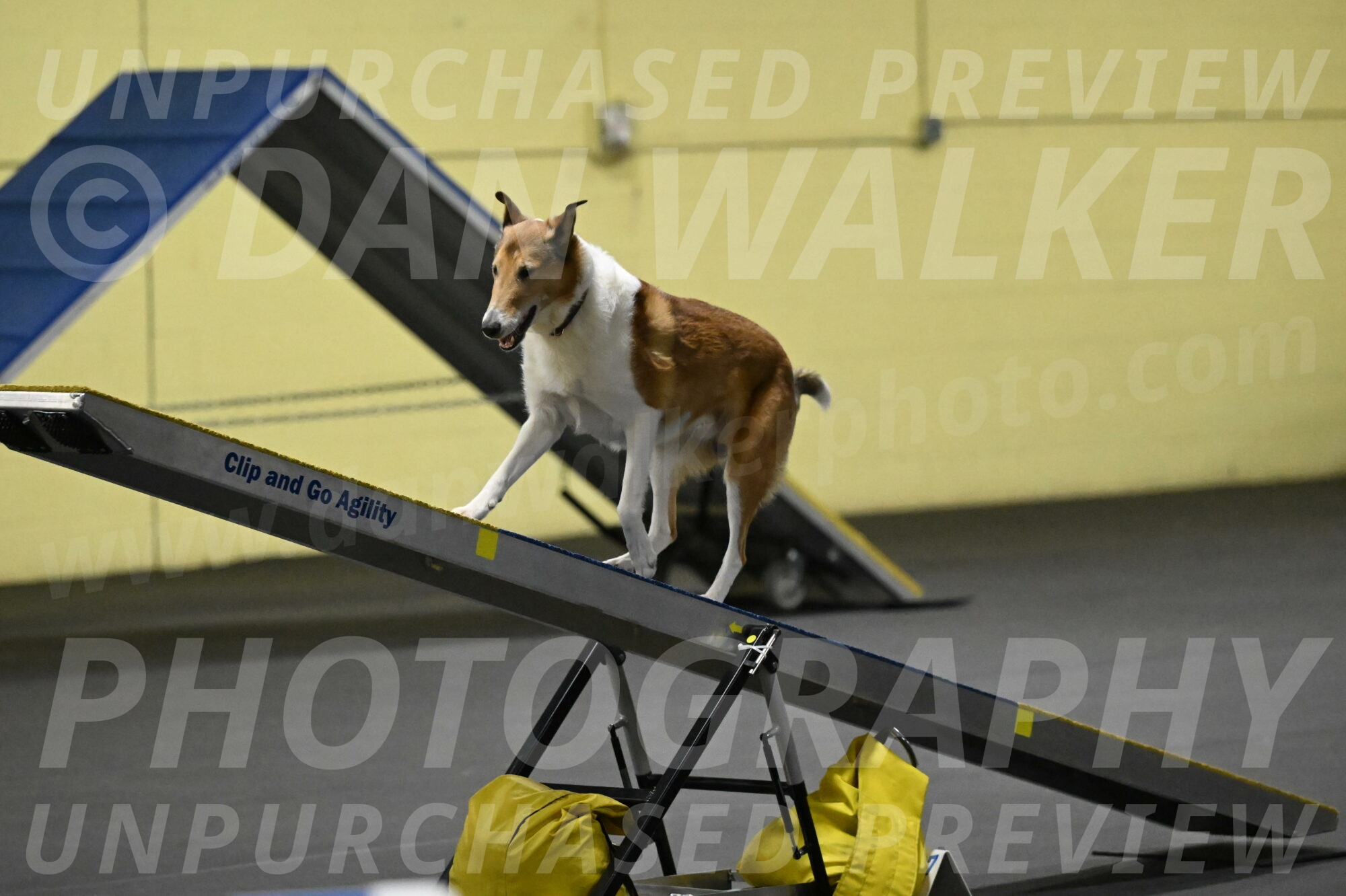 Ramble-Crawford-04194