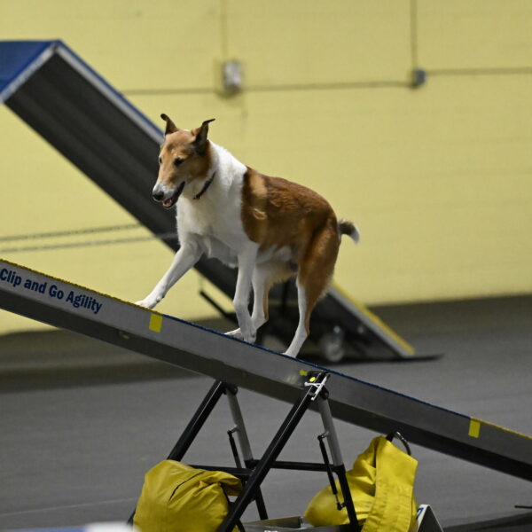 Ramble-Crawford-04194