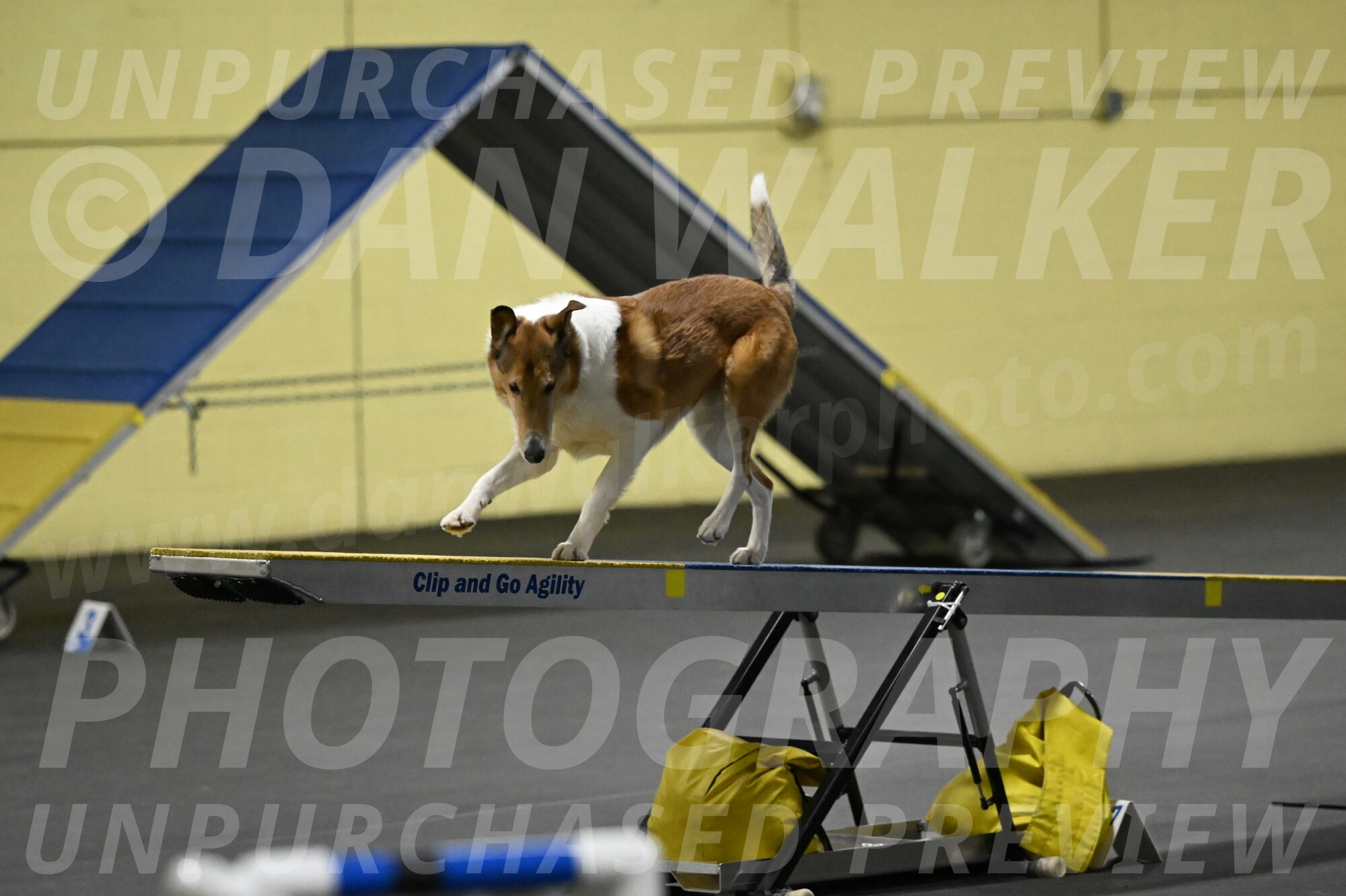 Ramble-Crawford-04199