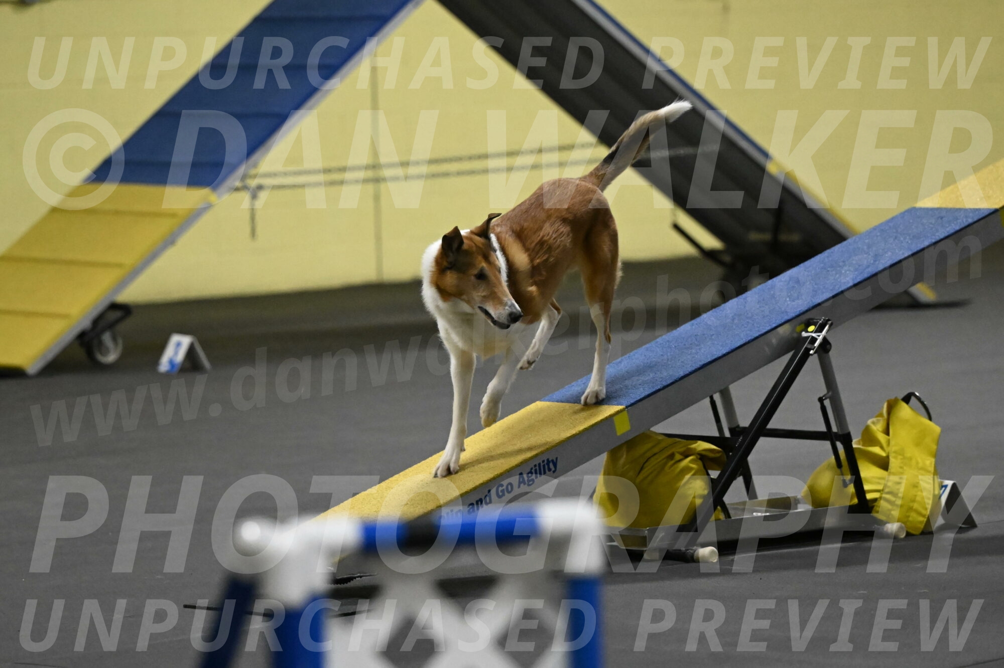 Ramble-Crawford-04200