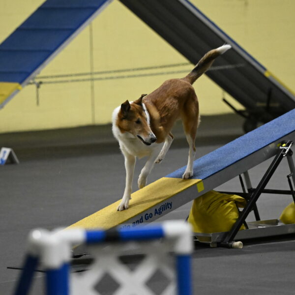 Ramble-Crawford-04200