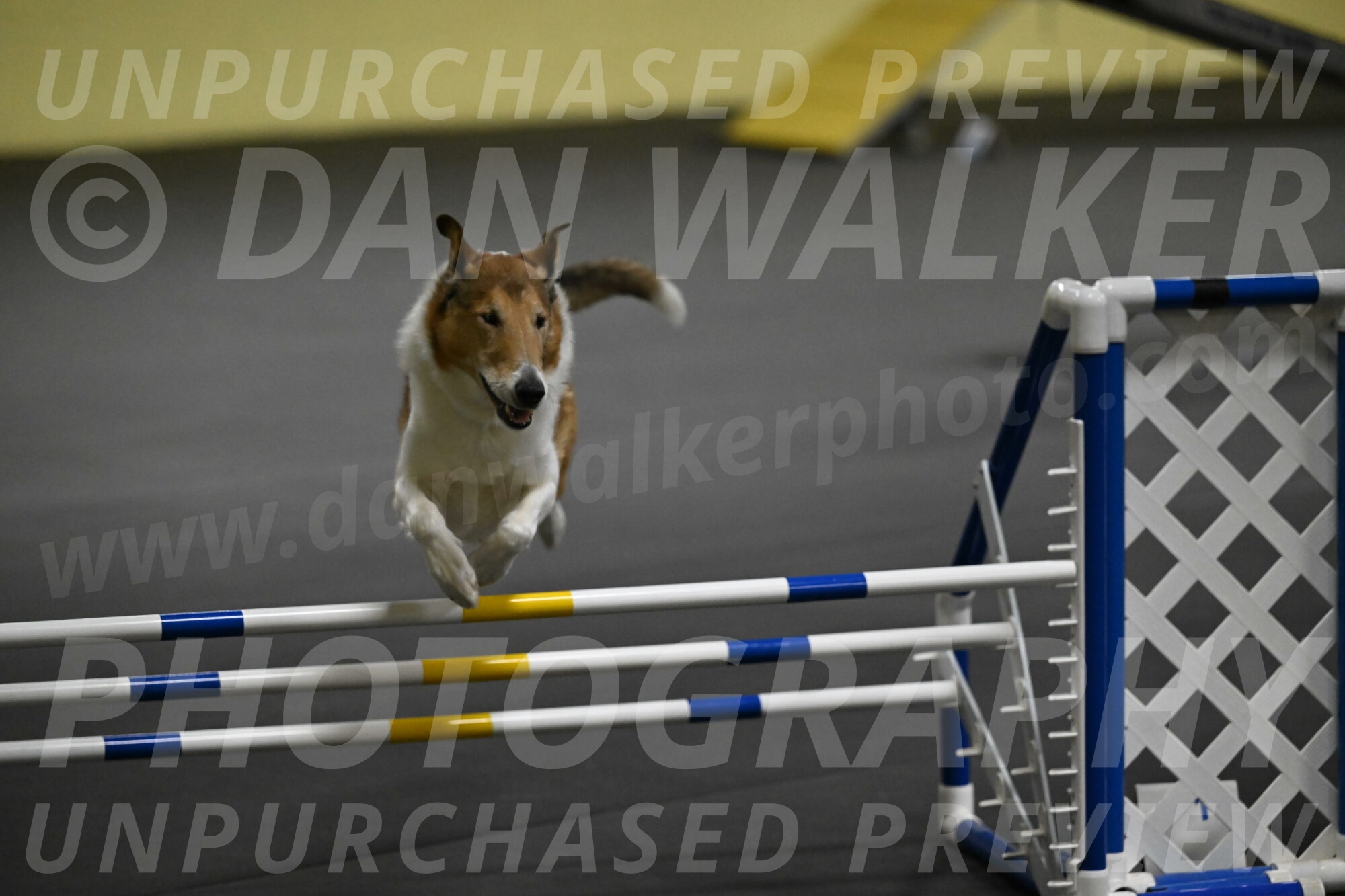 Ramble-Crawford-04205