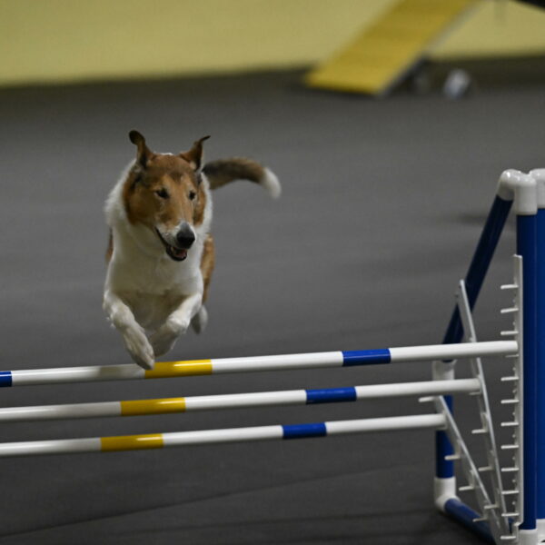 Ramble-Crawford-04205