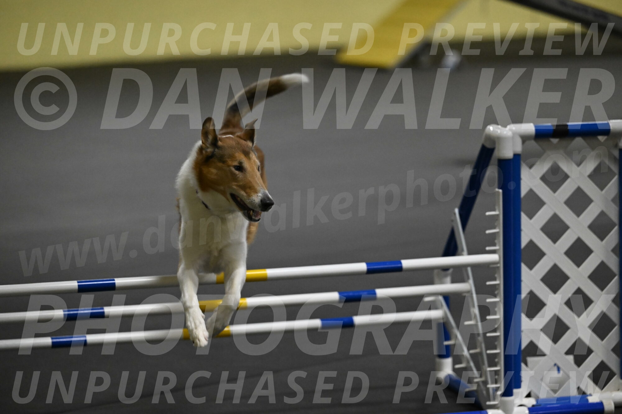 Ramble-Crawford-04206