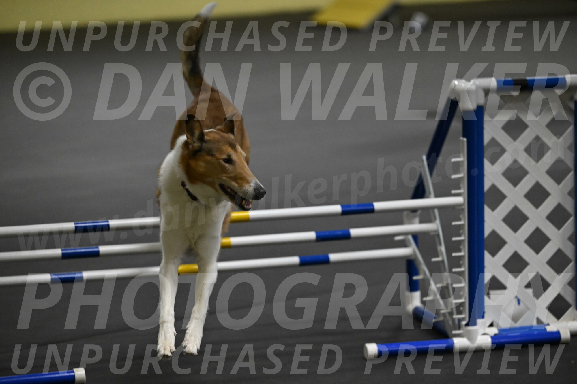 Ramble-Crawford-04207