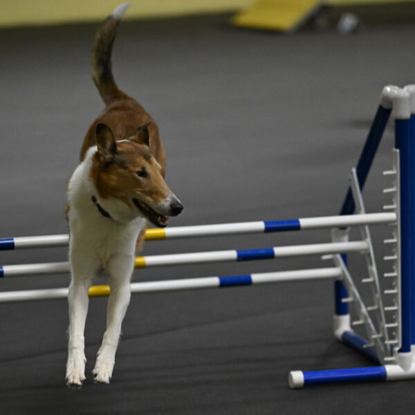 Ramble-Crawford-04207