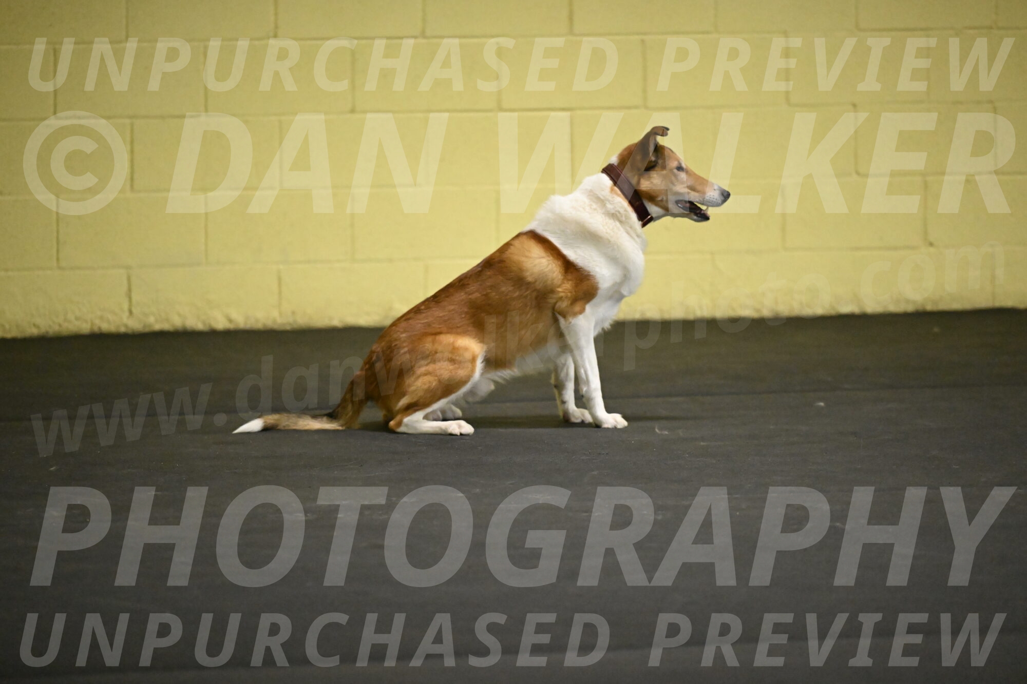 Ramble-Crawford-04212