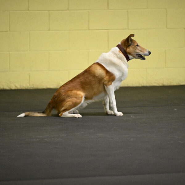 Ramble-Crawford-04212