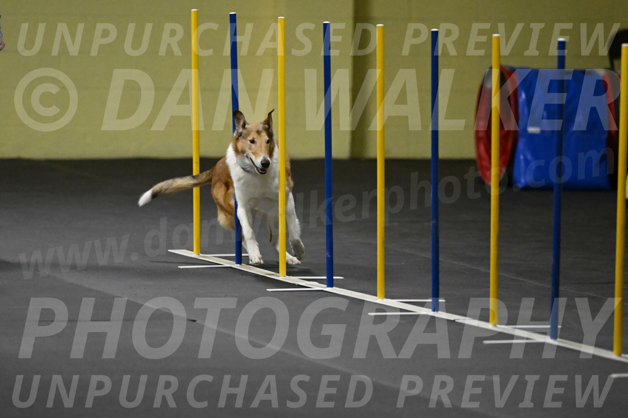 Ramble-Crawford-04224