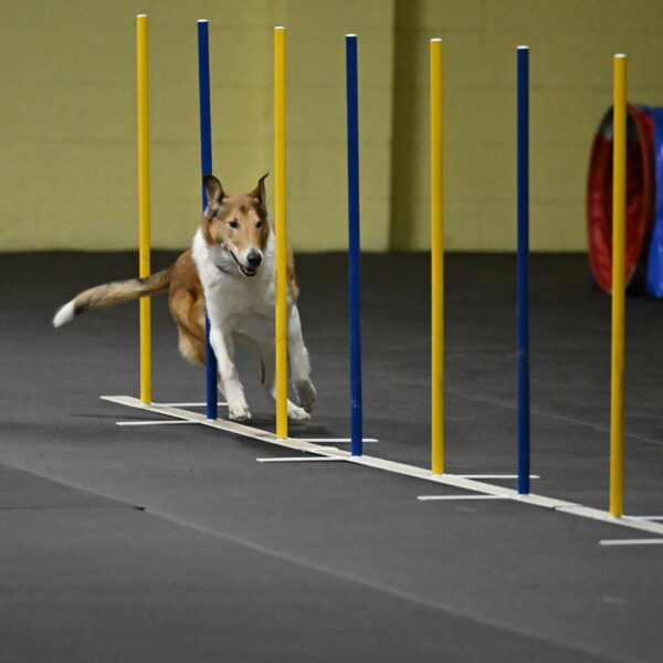 Ramble-Crawford-04224