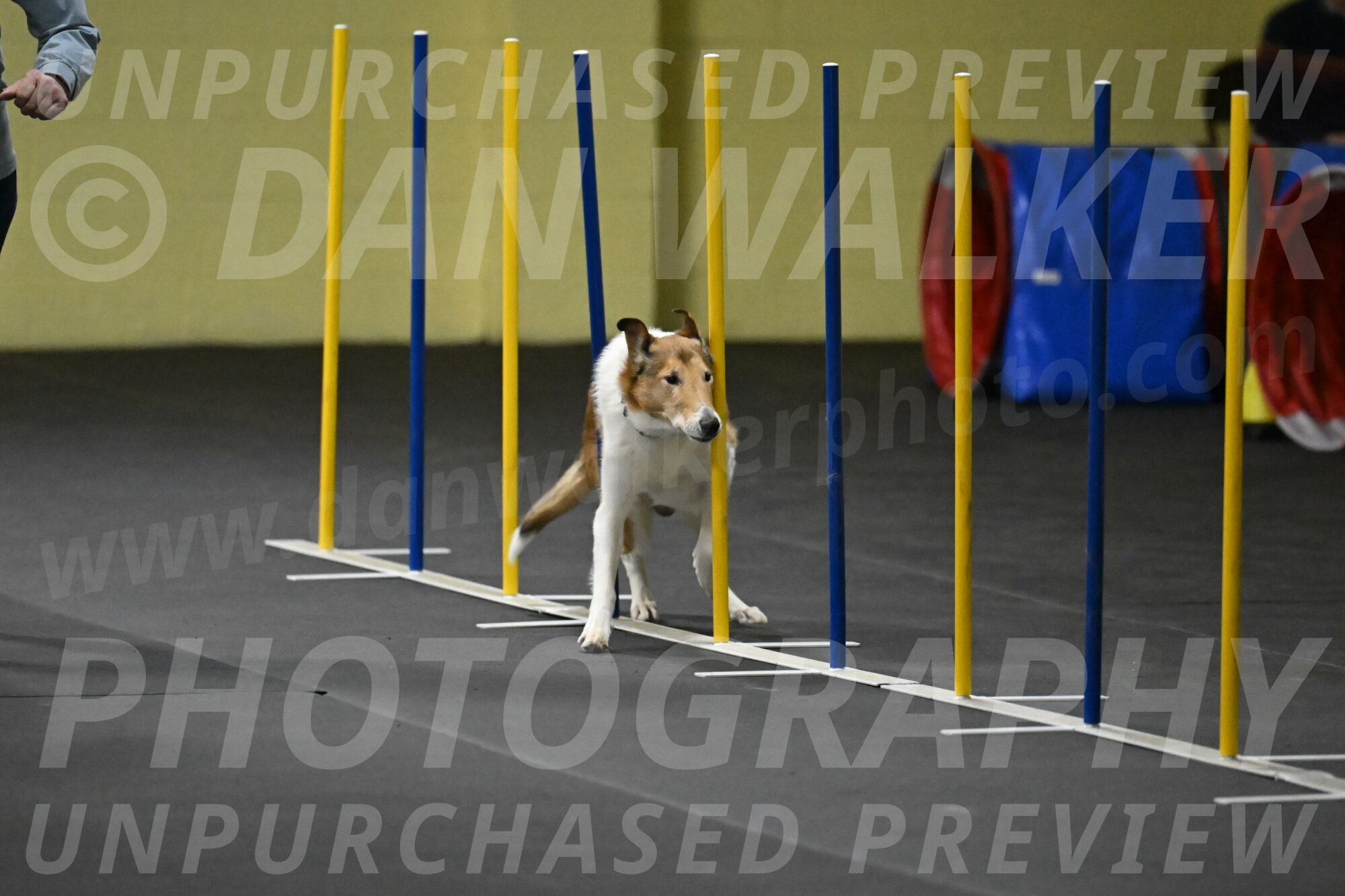 Ramble-Crawford-04232