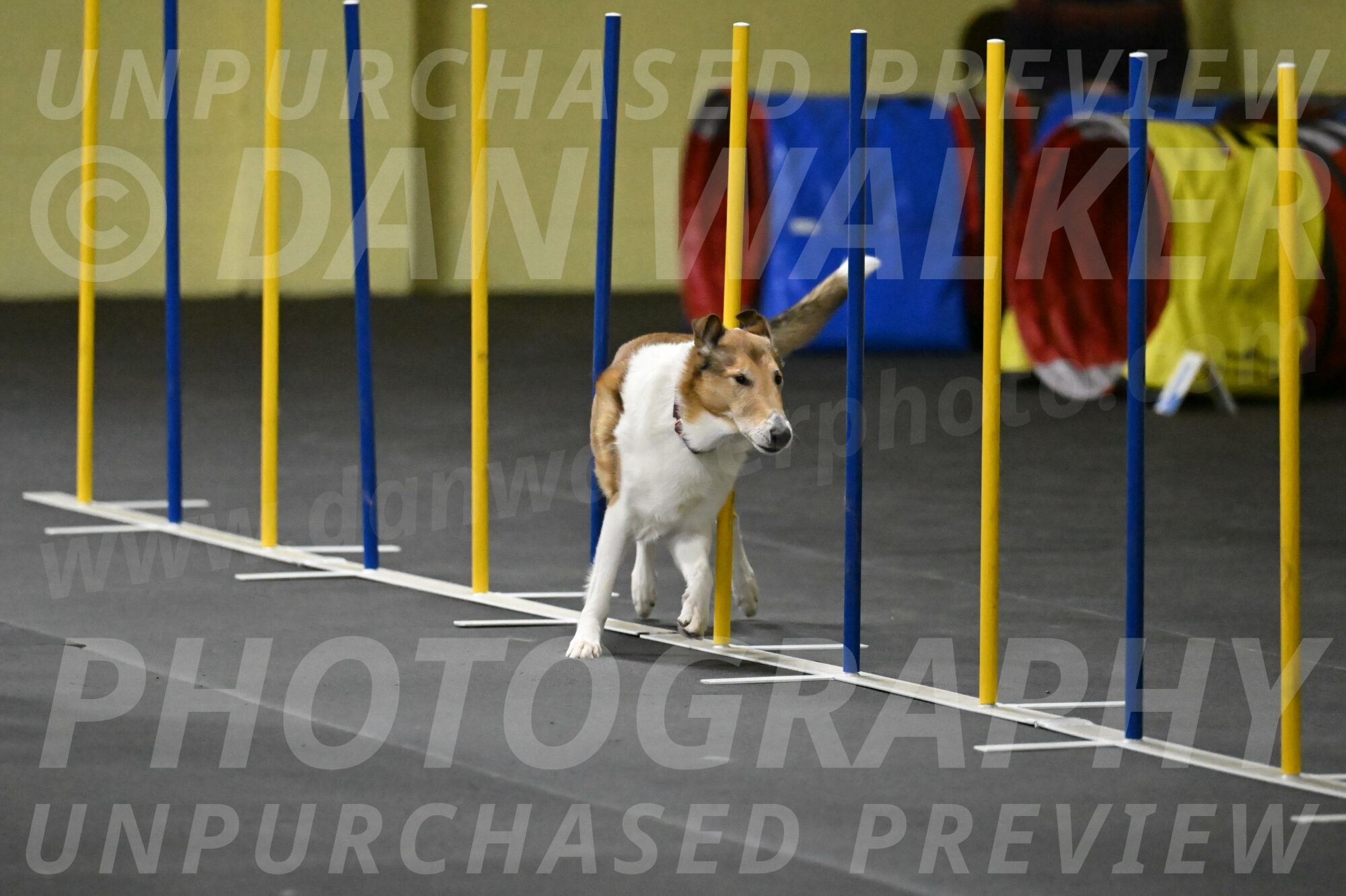 Ramble-Crawford-04241