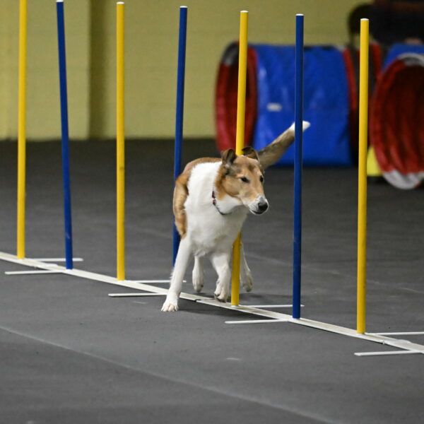 Ramble-Crawford-04241