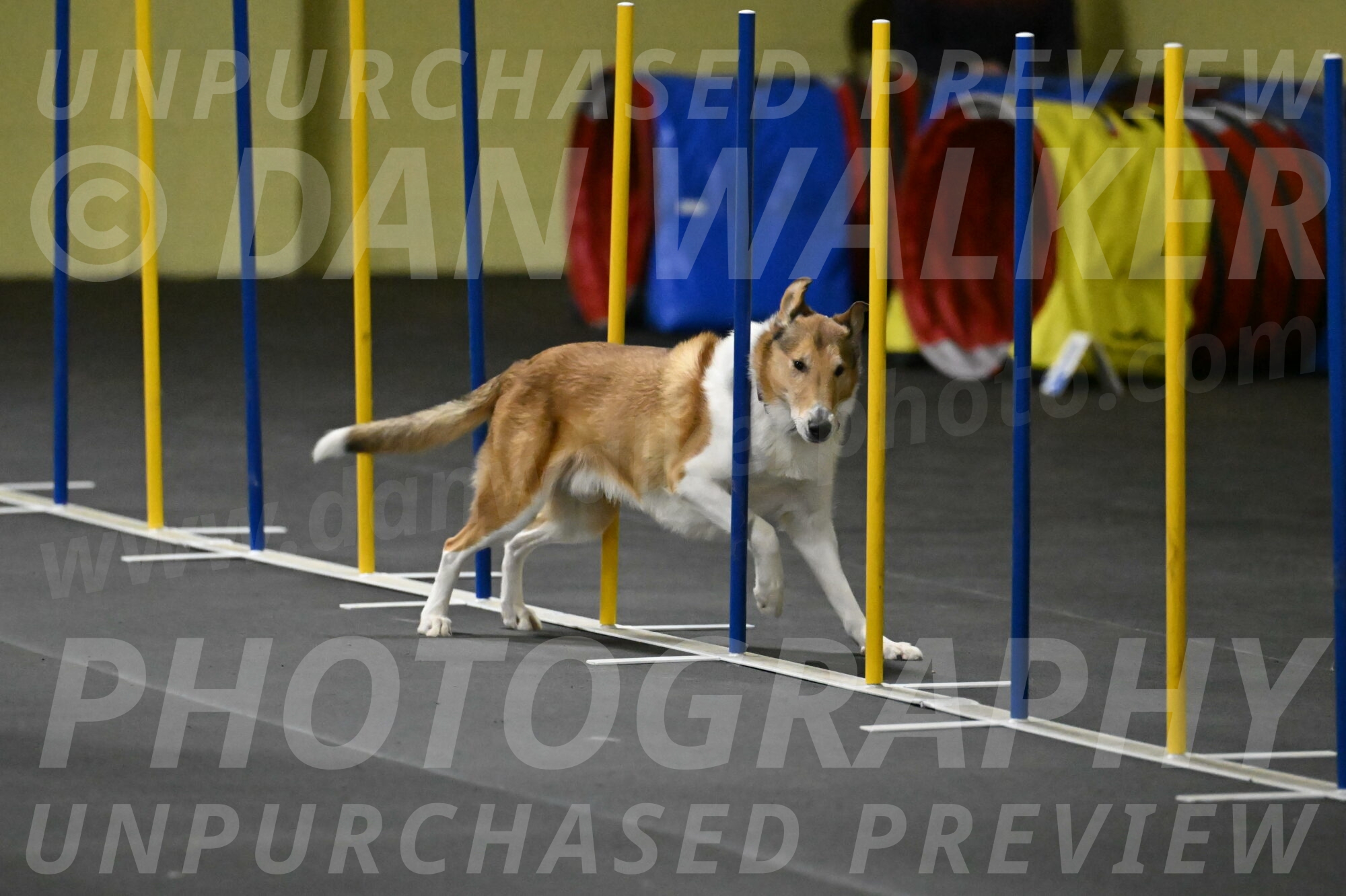 Ramble-Crawford-04244