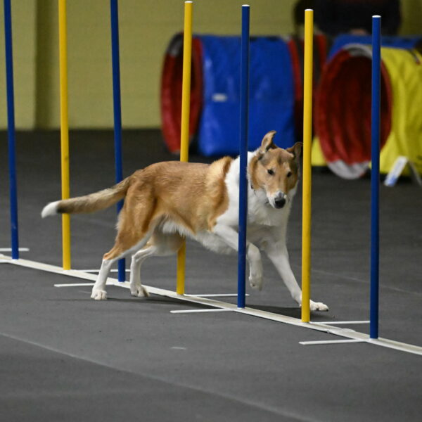 Ramble-Crawford-04244