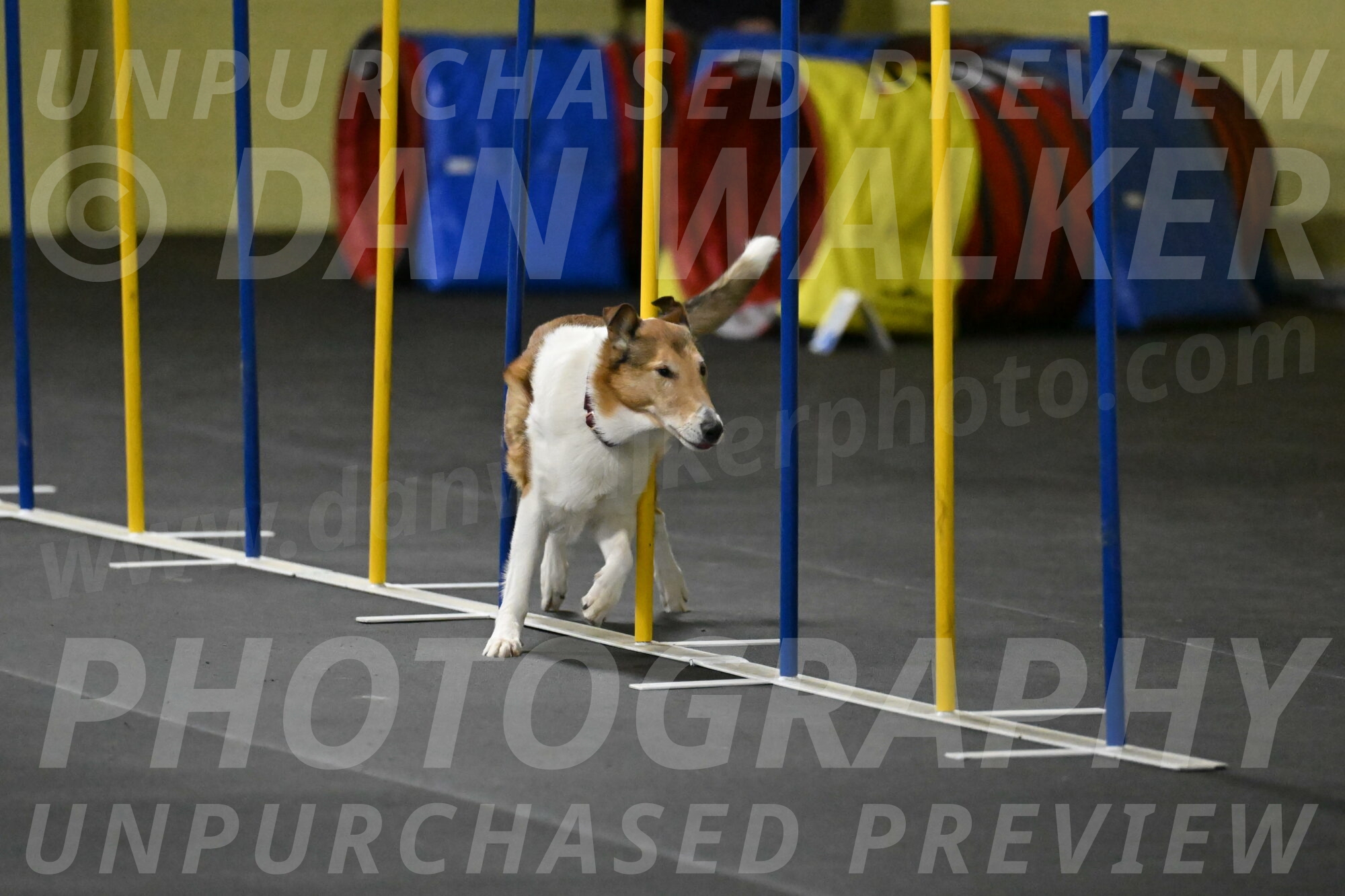 Ramble-Crawford-04247