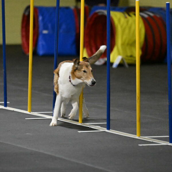 Ramble-Crawford-04247