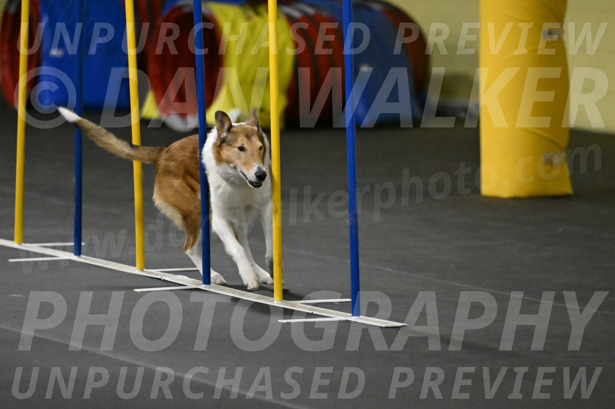 Ramble-Crawford-04252