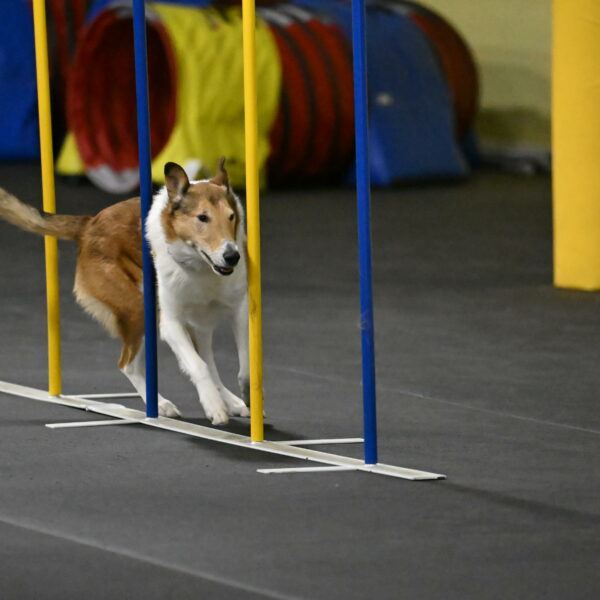 Ramble-Crawford-04252