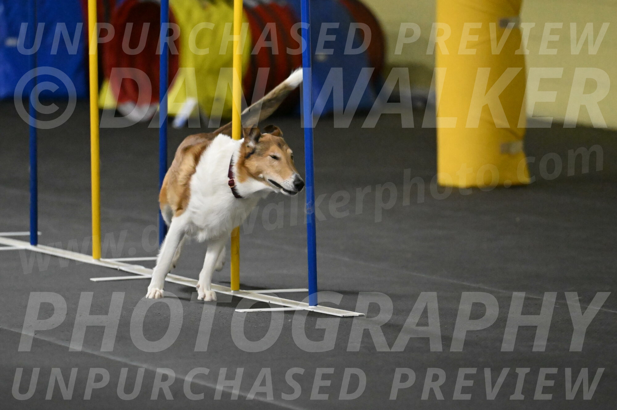 Ramble-Crawford-04254